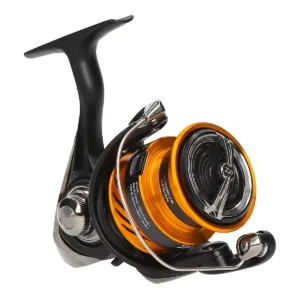 2024 Ninja LT Black Gold edition